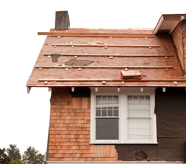 Reliable Diamond, IL Siding Solutions